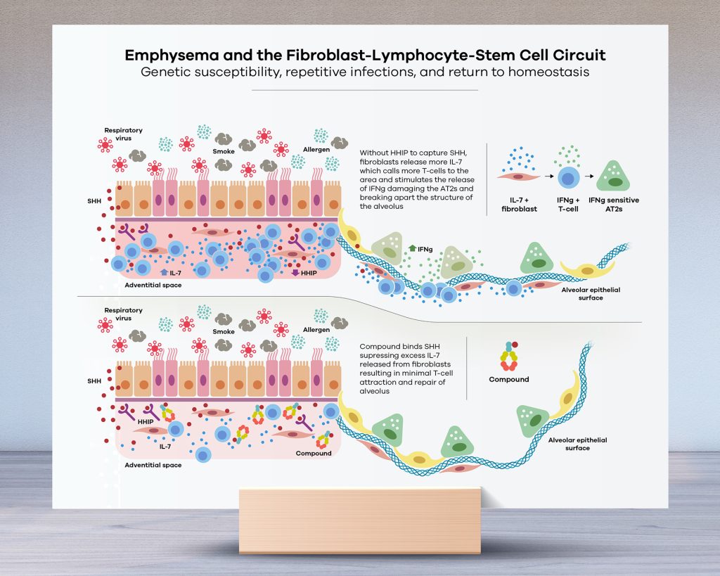 Life Science mechanism of disease illustration for Foundry
